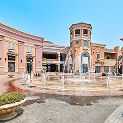 w88win优德(中国)官方网站