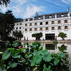 w88win优德(中国)官方网站